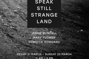 Speak Still Strange Land by Jessie Blindell, Mary Flower, Rebecca Goddard at KIT FORM