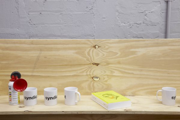 Liam Gillick, Syndicat