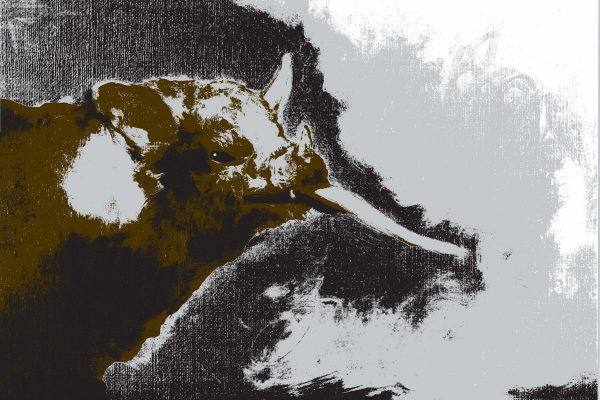 10th Anniversary Artist’s Print Portfolio