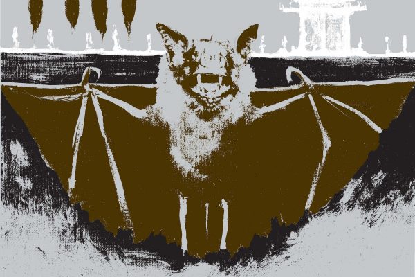 Bat Opera (Heavy Metal), 2019