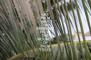 Agnes Essonti Luque, Like palm wine that emerges from the wounds of palm trees