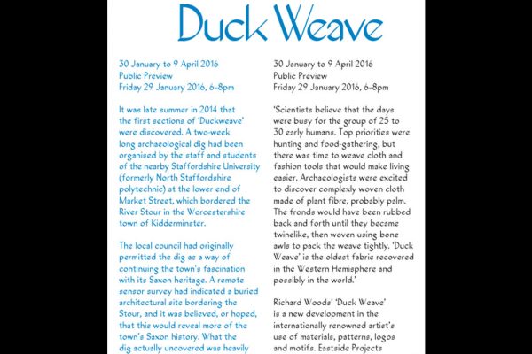 Richard Woods, Duck Weave, Exhibition Guide